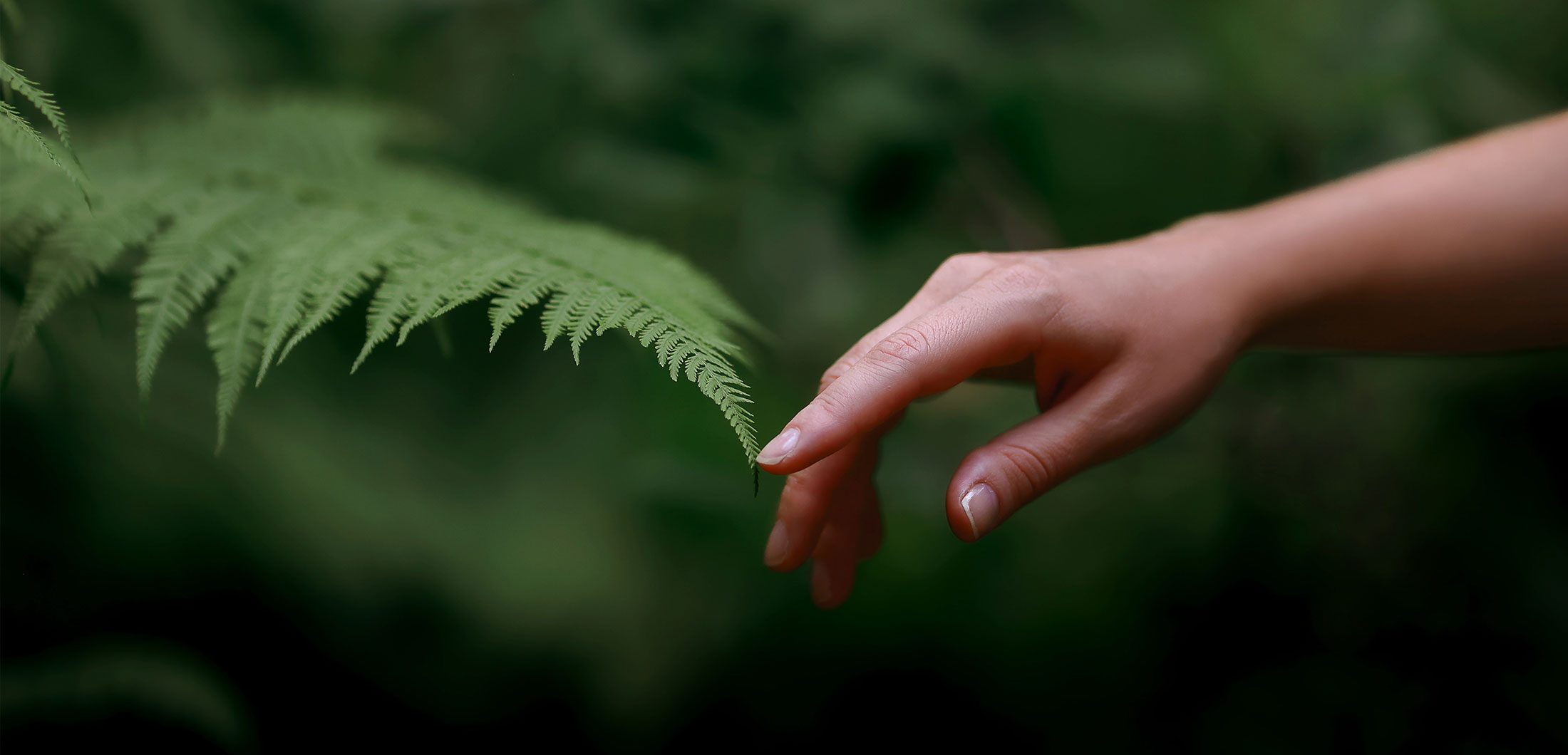Altmühltaler Naturschlafstudio Ridder, Beilngries